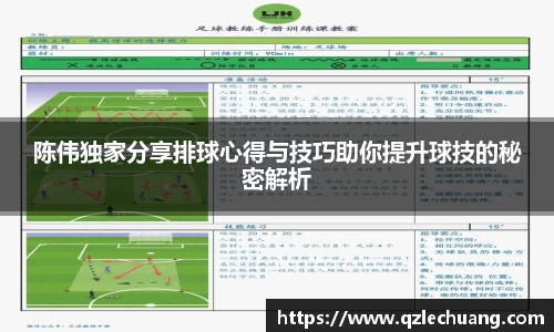 陈伟独家分享排球心得与技巧助你提升球技的秘密解析